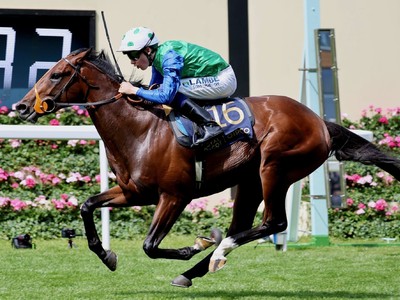 Rashabar Returns Sangster Silks to Royal Ascot Glory in ... Image 1