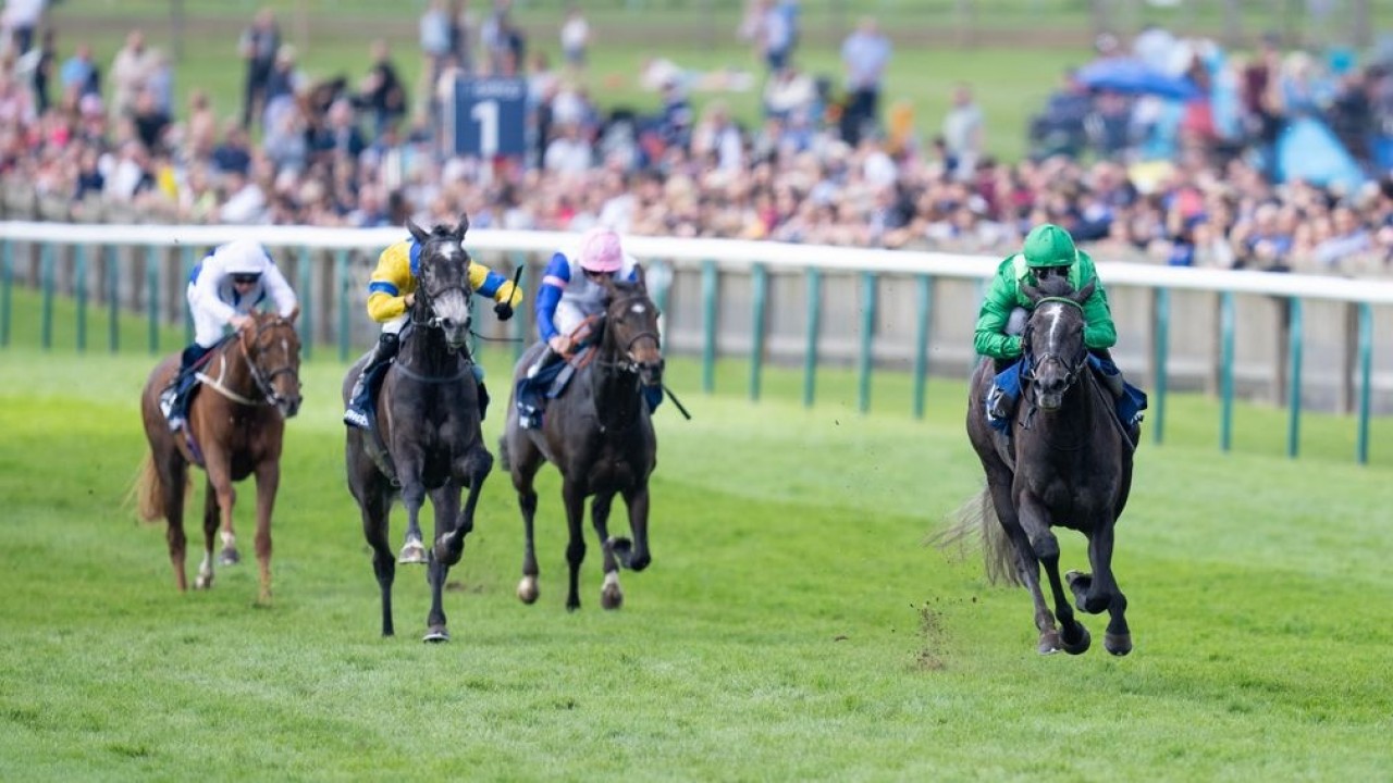 Running Lion Pounces, Sparking Celebrations in the Duke of ... Image 1