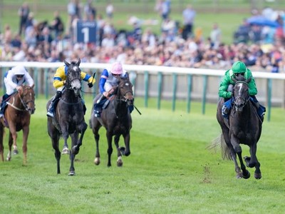 Running Lion Pounces, Sparking Celebrations in the Duke of ... Image 1