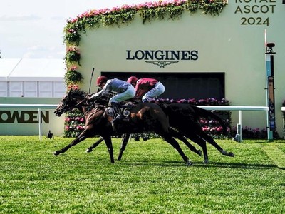 Ralph Beckett's Rollercoaster 35 Minutes: Doha Clinches ... Image 1