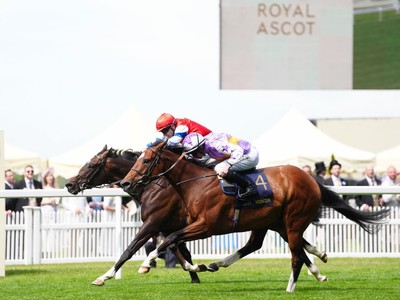 King George V Upset: Going The Distance Pulls Off Longshot ... Image 1