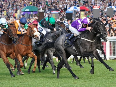 Pilgrim's Progress: Yorkshire Trainer Strikes Again with ... Image 1