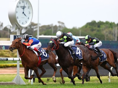 Pride of Dubai's Bella Nipotina Targets The Everest After ... Image 1