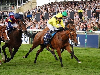 Goodwood in Sight: Elmalka's Connections Eye the Nassau ... Image 1