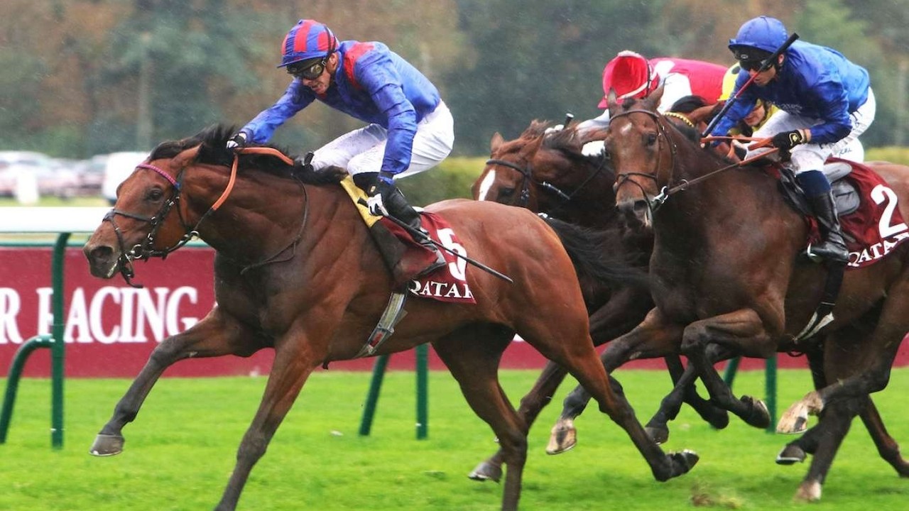 Victory in Saint-Cloud Grands Prix Sets Dubai Honour Up for ... Image 1