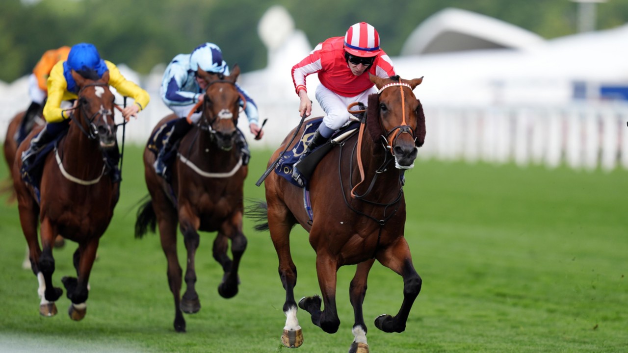 Prescott Plots Perfect Ascot Return As Pledgeofallegiance ... Image 1