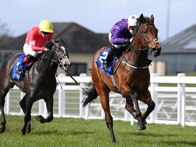 Bucanero Fuerte Targets July Cup Comeback After Royal Ascot ... Image 1