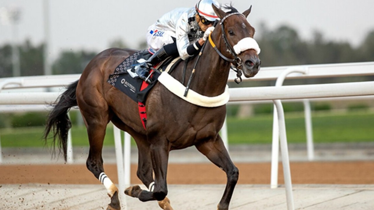 Saudi Arabia’s Summer Racing Season Kicks Off in Taif Image 1