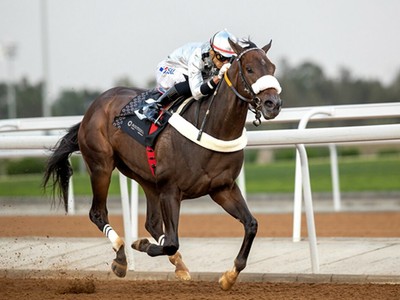 Saudi Arabia’s Summer Racing Season Kicks Off in Taif Image 1