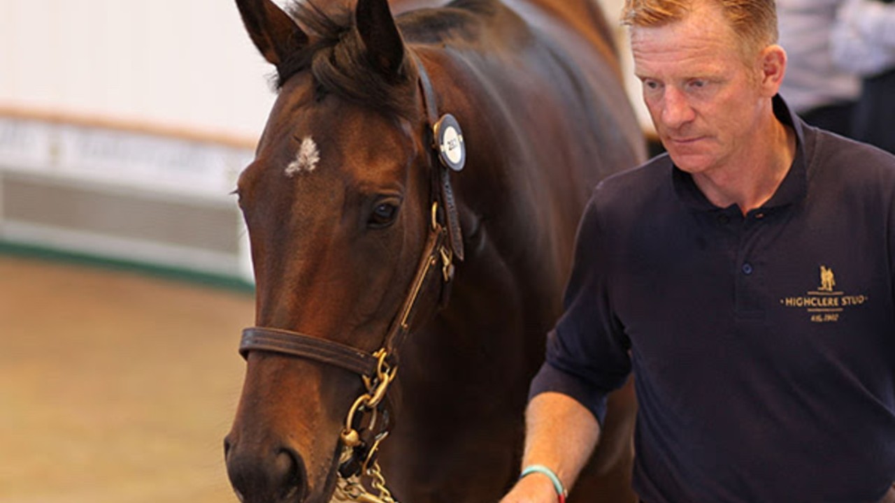 Tattersalls July Sale Opening Day: Godolphin Draft Sets the ... Image 1