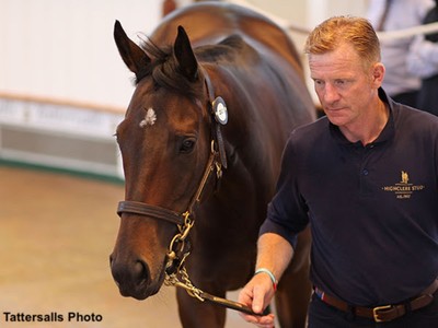 Tattersalls July Sale Opening Day: Godolphin Draft Sets the ... Image 1