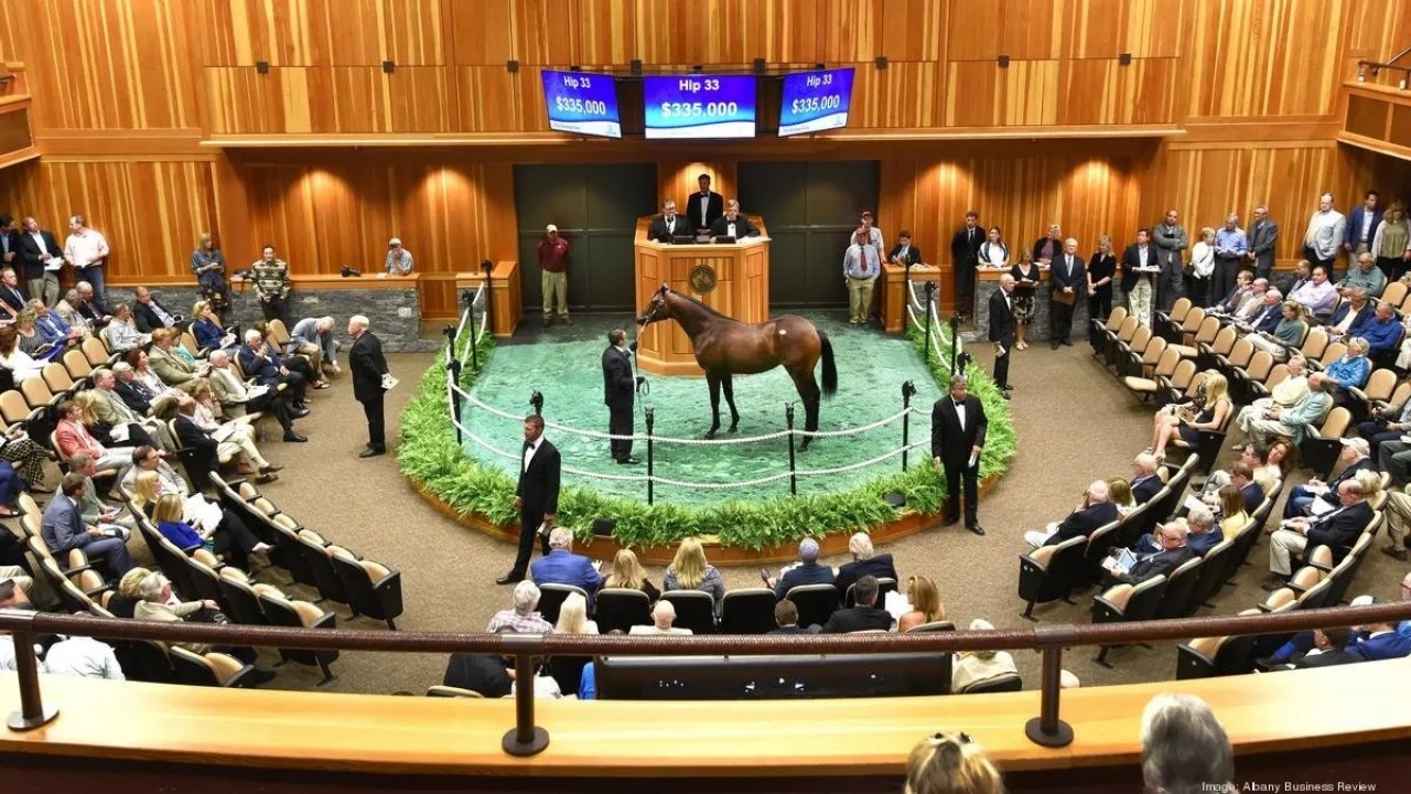 240 Star-Studded Yearlings Cataloged for Fasig-Tipton's ... Image 1