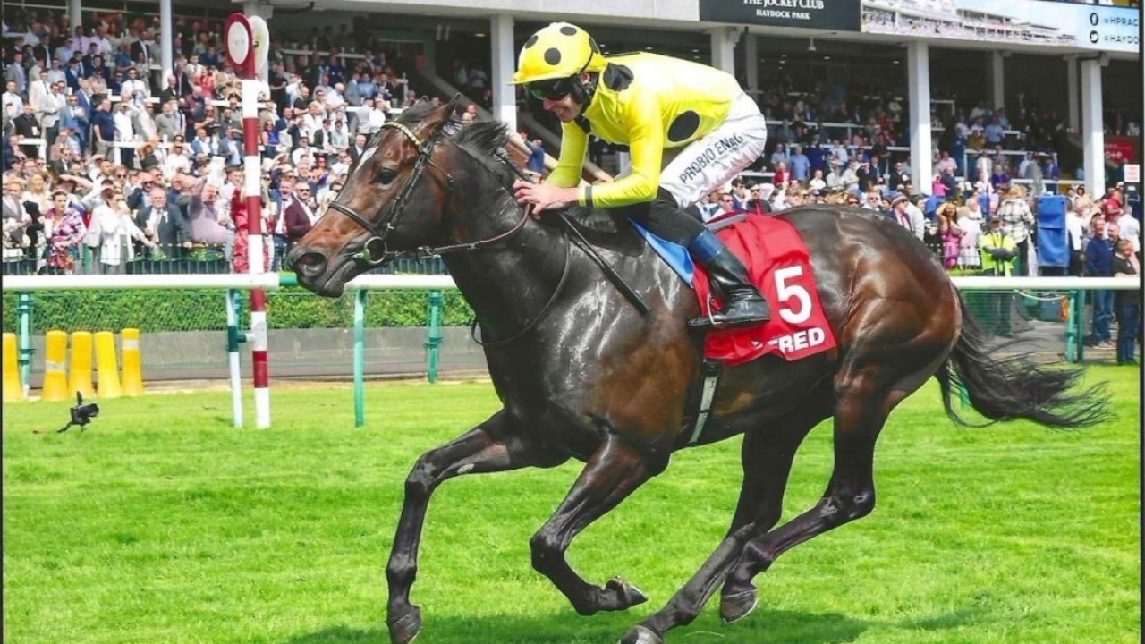 July Cup Spotlight: Inisherin’s Bid for Sprinting Stardom ... Image 1