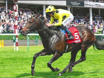 July Cup Spotlight: Inisherin’s Bid for Sprinting Stardom ... Image 1