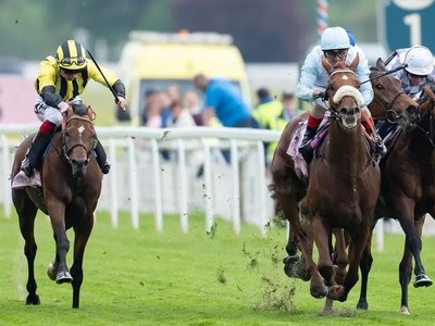 Marco Botti Targets Irish St Leger with Giavellotto, ... Image 1