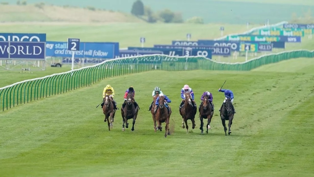 July Cup Preview :A Captivating Renewal of the My Pension ... Image 1