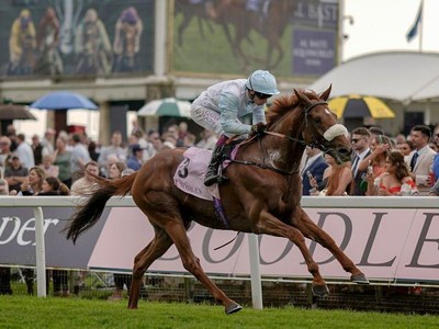 Giavellotto to Target Irish St Leger After Impressive Win ... Image 1