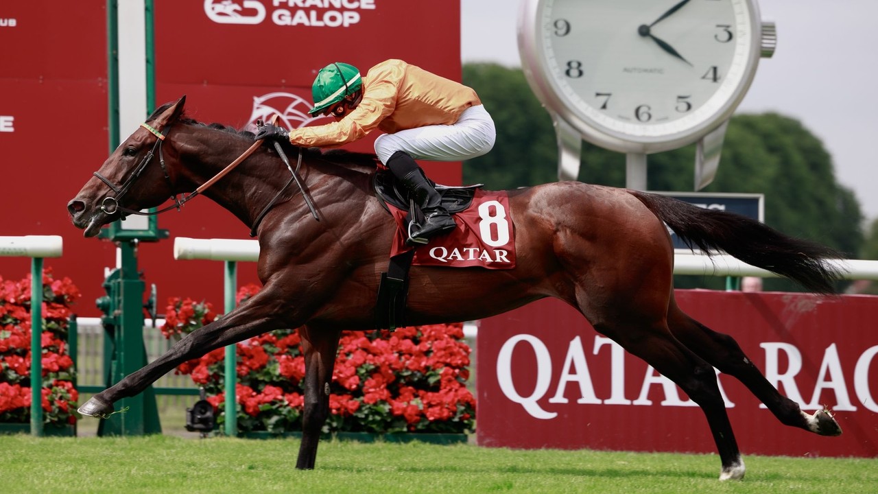 Ballylinch Stud and Al Shaqab Racing Acquire Majority ... Image 1