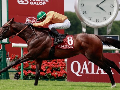 Ballylinch Stud and Al Shaqab Racing Acquire Majority ... Image 1