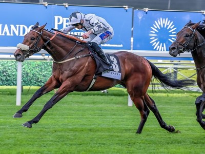 Al Qareem Considers Al Shaqab Goodwood Cup Stakes Following ... Image 1