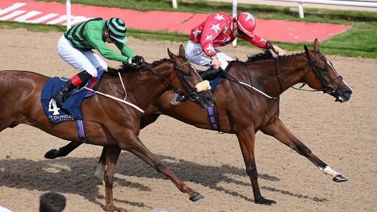 Longbourn Leads the Charge in Dublin to Bahrain Series ... Image 1