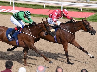 Longbourn Leads the Charge in Dublin to Bahrain Series ... Image 1