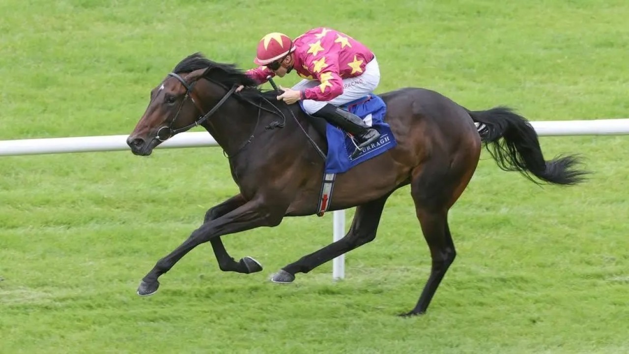 Al Riffa Eyes Arc Glory After Gallant Eclipse Run Image 1