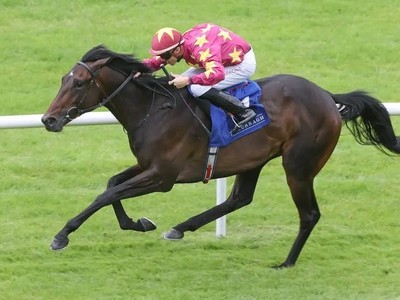 Al Riffa Eyes Arc Glory After Gallant Eclipse Run Image 1