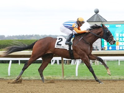 Good Magic's Son Dornoch Lands at Spendthrift Farm for ... Image 1