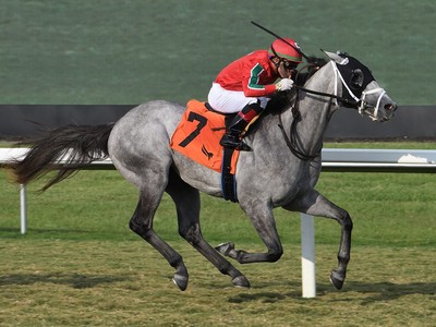 Gabaldon to Target Breeders’ Cup After Qatar Racing Purchase Image 1