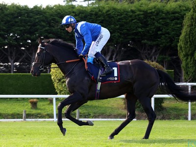 Alflaila Aims to Build on Strong Comeback in Defense of Sky ... Image 1