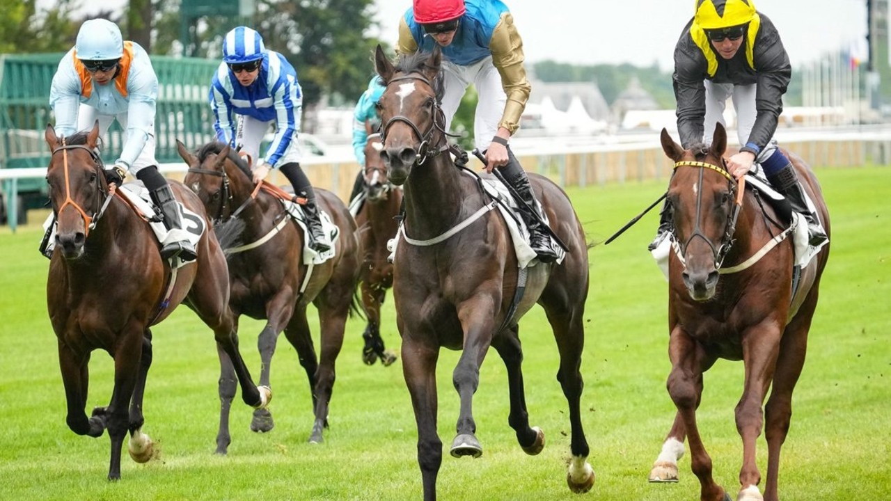 Shadow Army Eyes Goodwood After Strong Prix Robert Papin ... Image 1