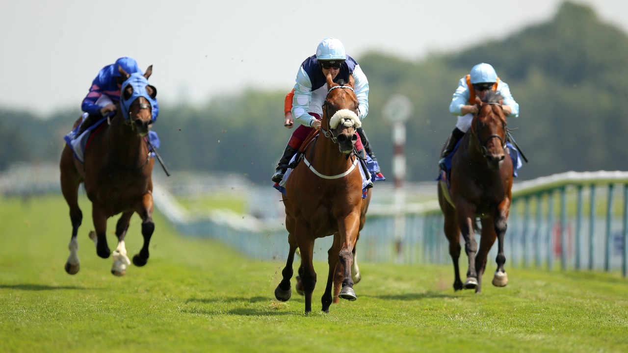 Regional's Next Move: Bethell Eyes Nunthorpe and Sprint Cup Image 1