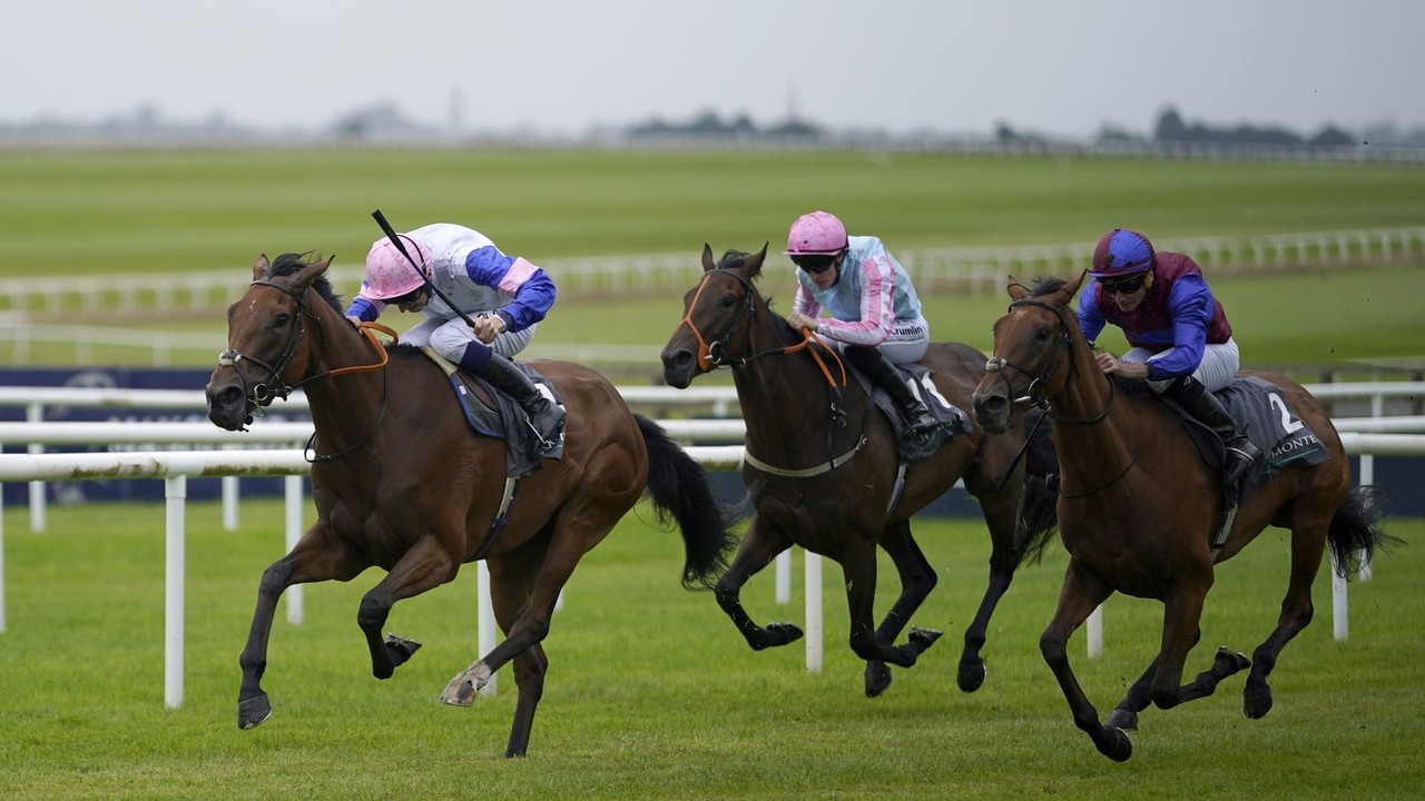 Irish Oaks Winner Eyes Yorkshire Oaks, Potential Arc de ... Image 1