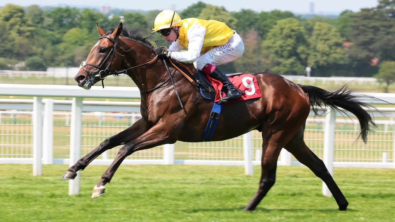 Hannon Hails Rosallion as 'Dream' Horse Ahead of Sussex ... Image 2