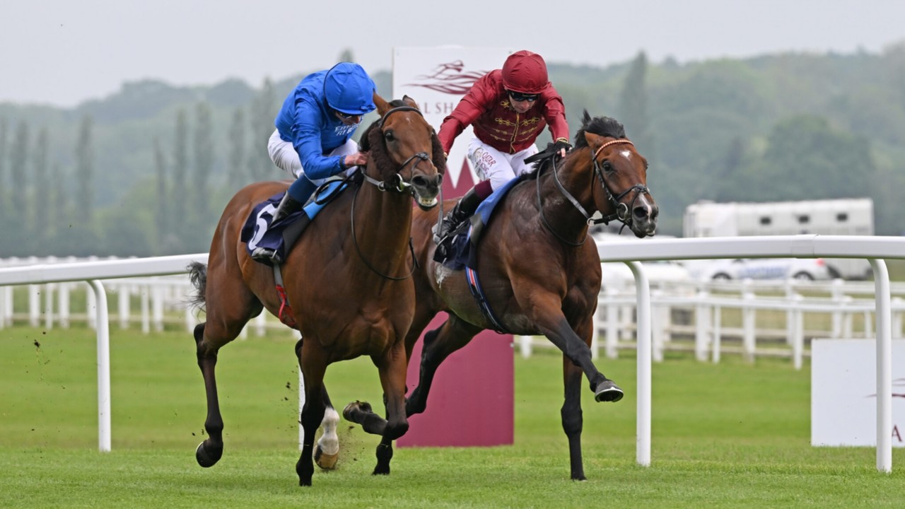 Murphy Opts for Middle Earth in King George Stakes, Citing ... Image 1