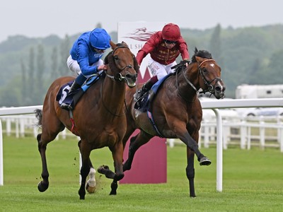Murphy Opts for Middle Earth in King George Stakes, Citing ...