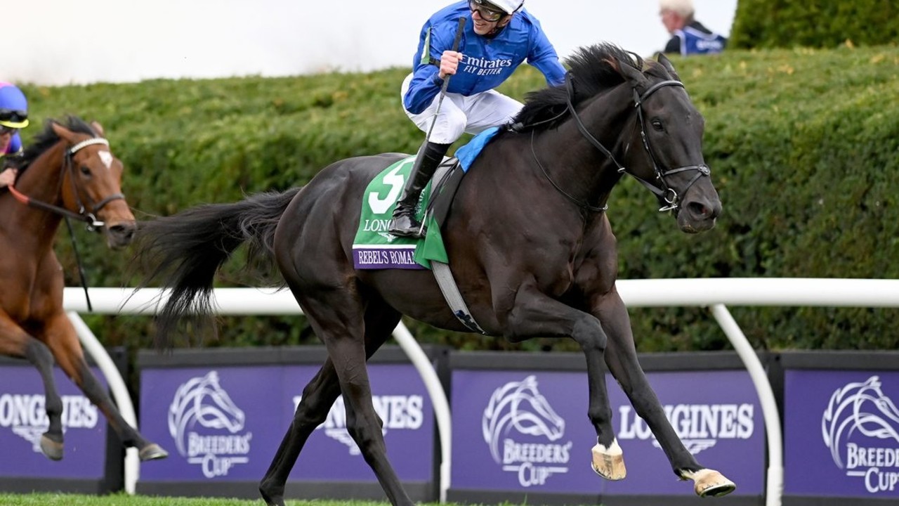 King George VI and Queen Elizabeth Stakes: International ... Image 2