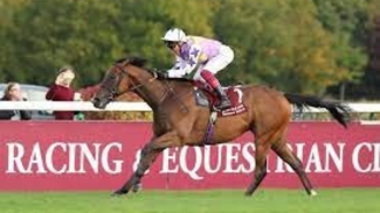 Stars Align for Qatar Goodwood Festival: Kinross, Kyprios, ... Image 1