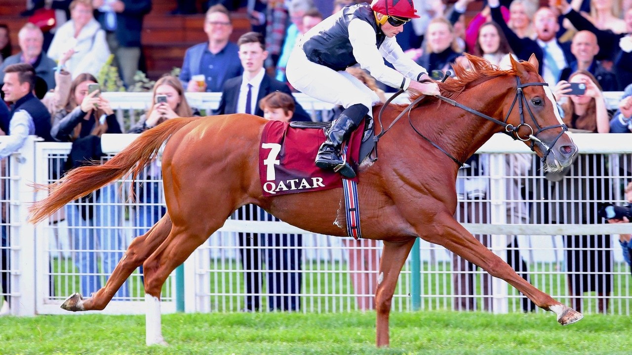 Stars Align for Qatar Goodwood Festival: Kinross, Kyprios, ... Image 2