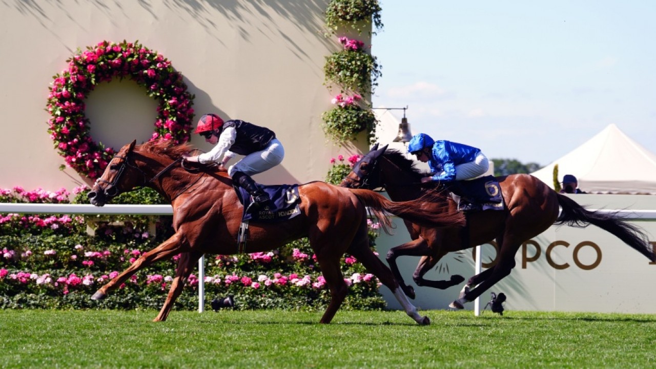 Gosden Duo and French Challenger Set for Goodwood Showdowns Image 1