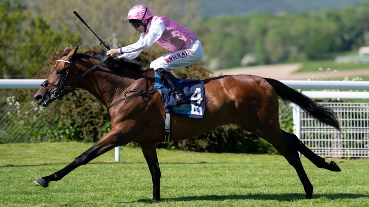 Gosden Duo and French Challenger Set for Goodwood Showdowns Image 3