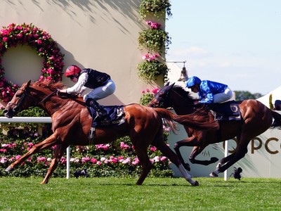 Gosden Duo and French Challenger Set for Goodwood Showdowns Image 1