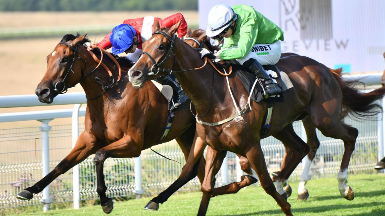 Arisaig Times It Right In Ridgeview Fillies’ Handicap Image 1