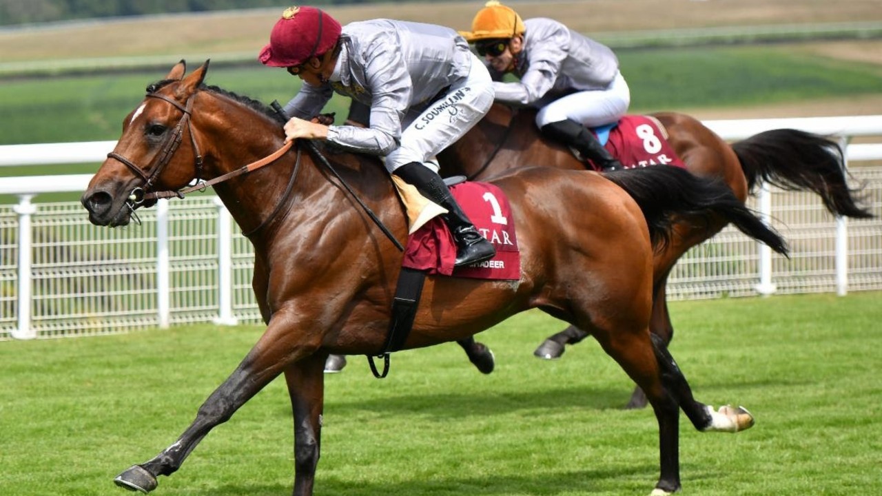 Al Ghadeer Reigns Supreme In Qatar International Stakes Image 1