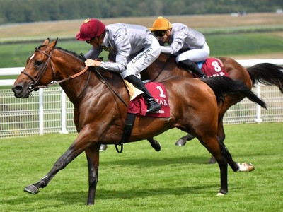 Al Ghadeer Reigns Supreme In Qatar International Stakes Image 1