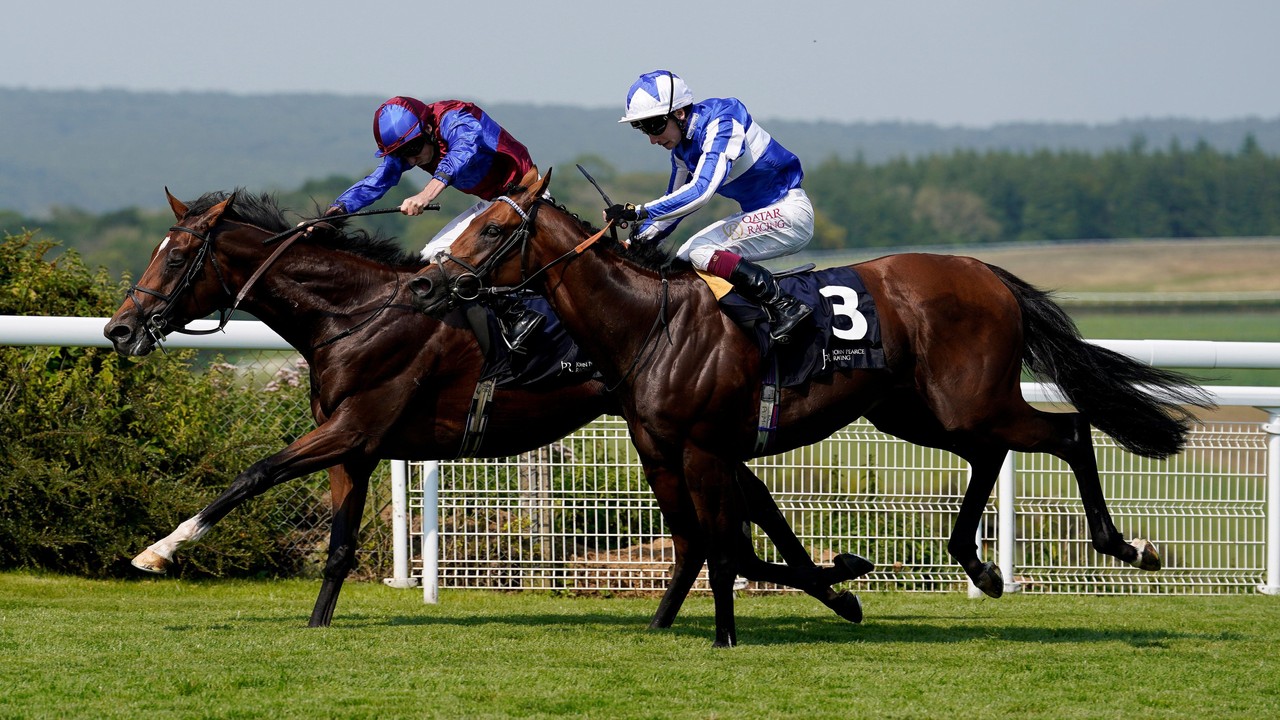 Classic Hope Jan Brueghel Strikes In Gordon Stakes Image 1