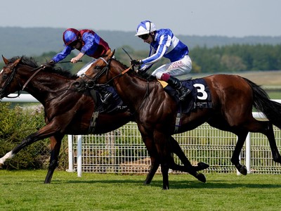 Classic Hope Jan Brueghel Strikes In Gordon Stakes Image 1