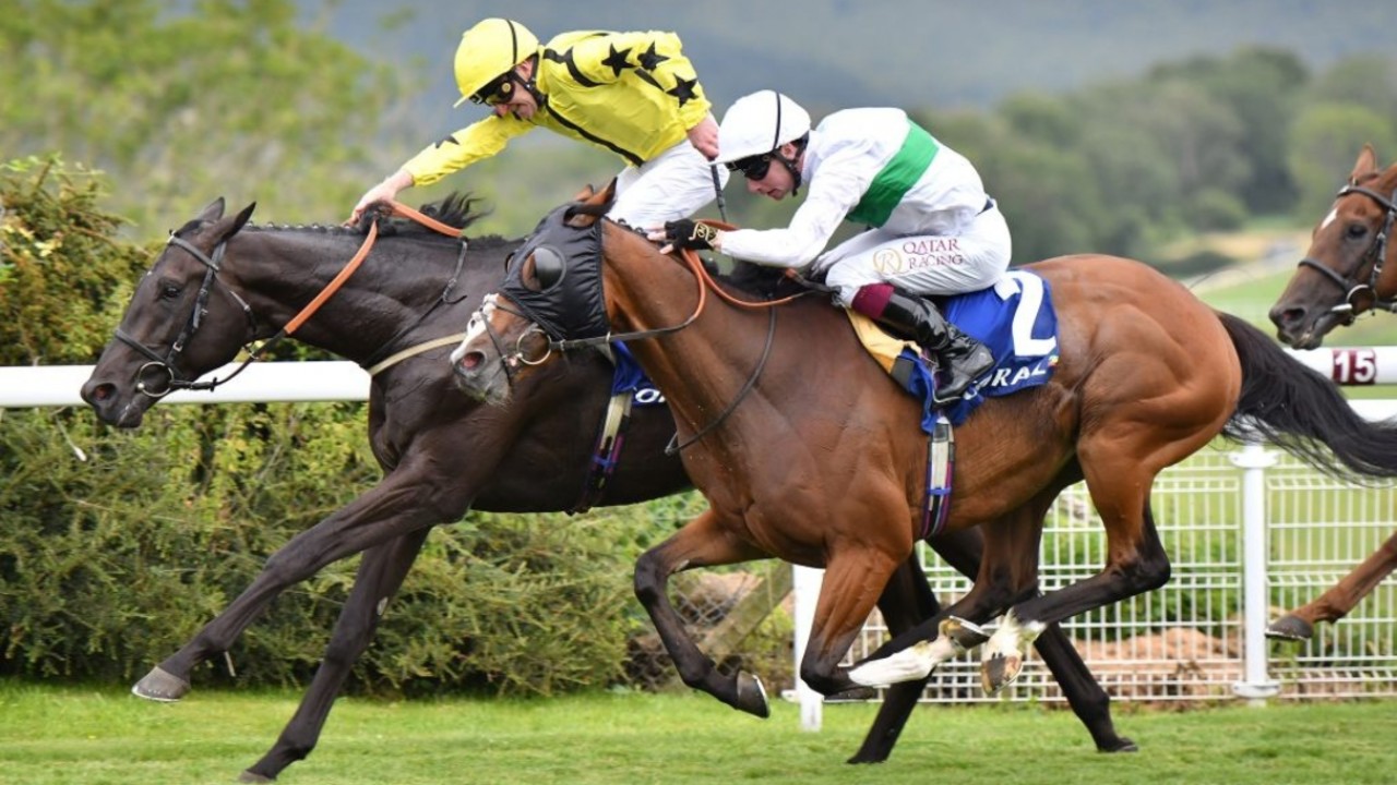 Get It Blasting To Victory In Coral Stewards' Cup Image 3