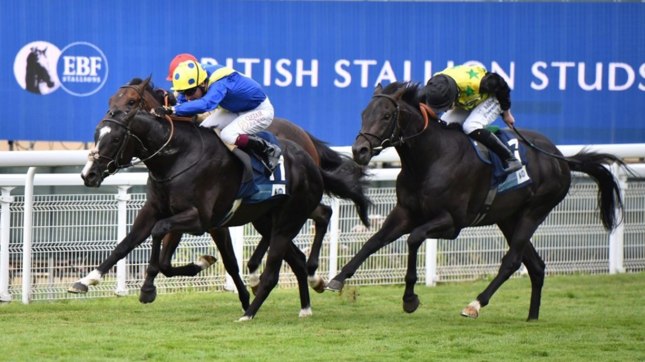 Get It Blasting To Victory In Coral Stewards' Cup Image 2